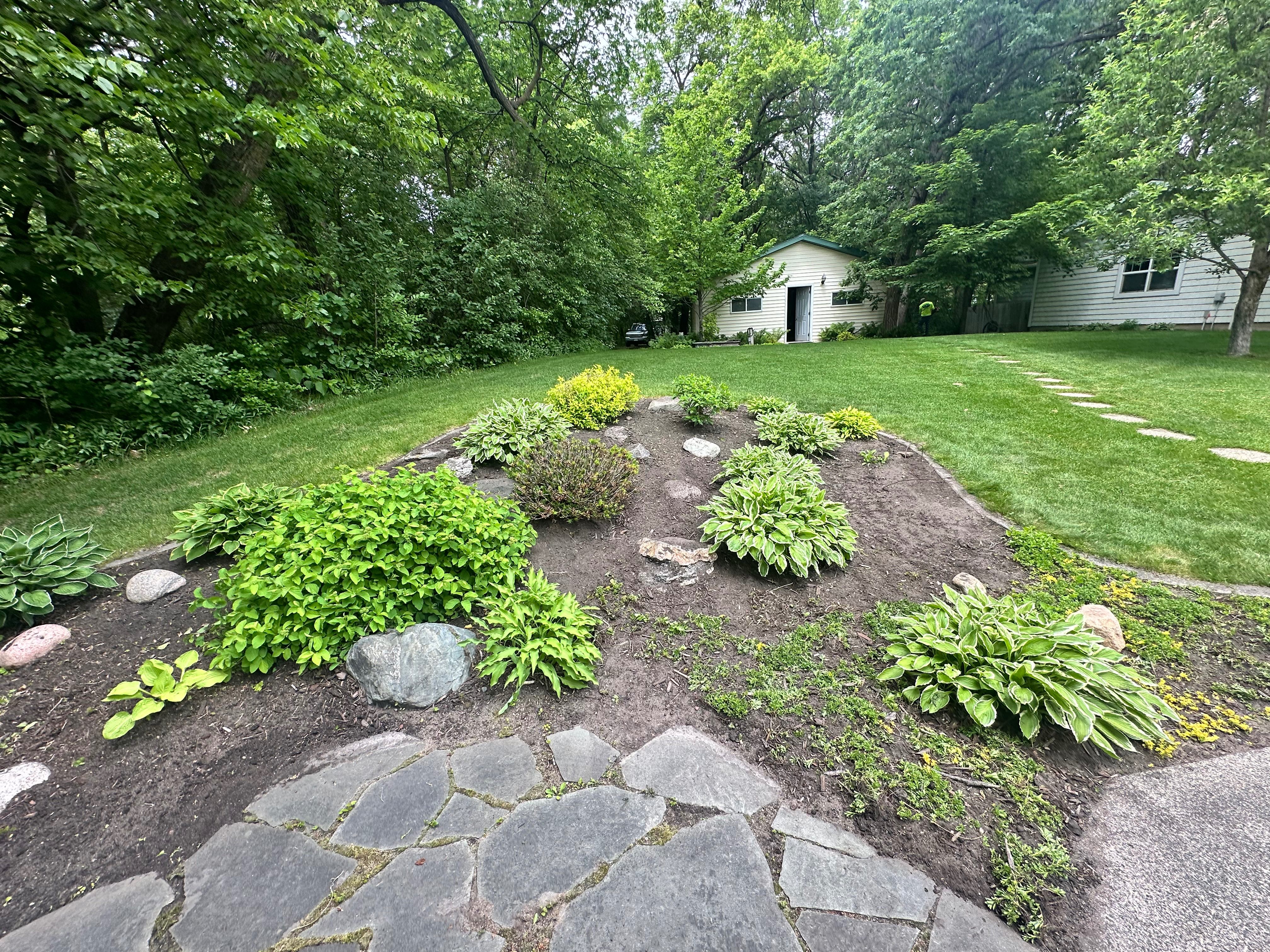 Before: Garden with weeds