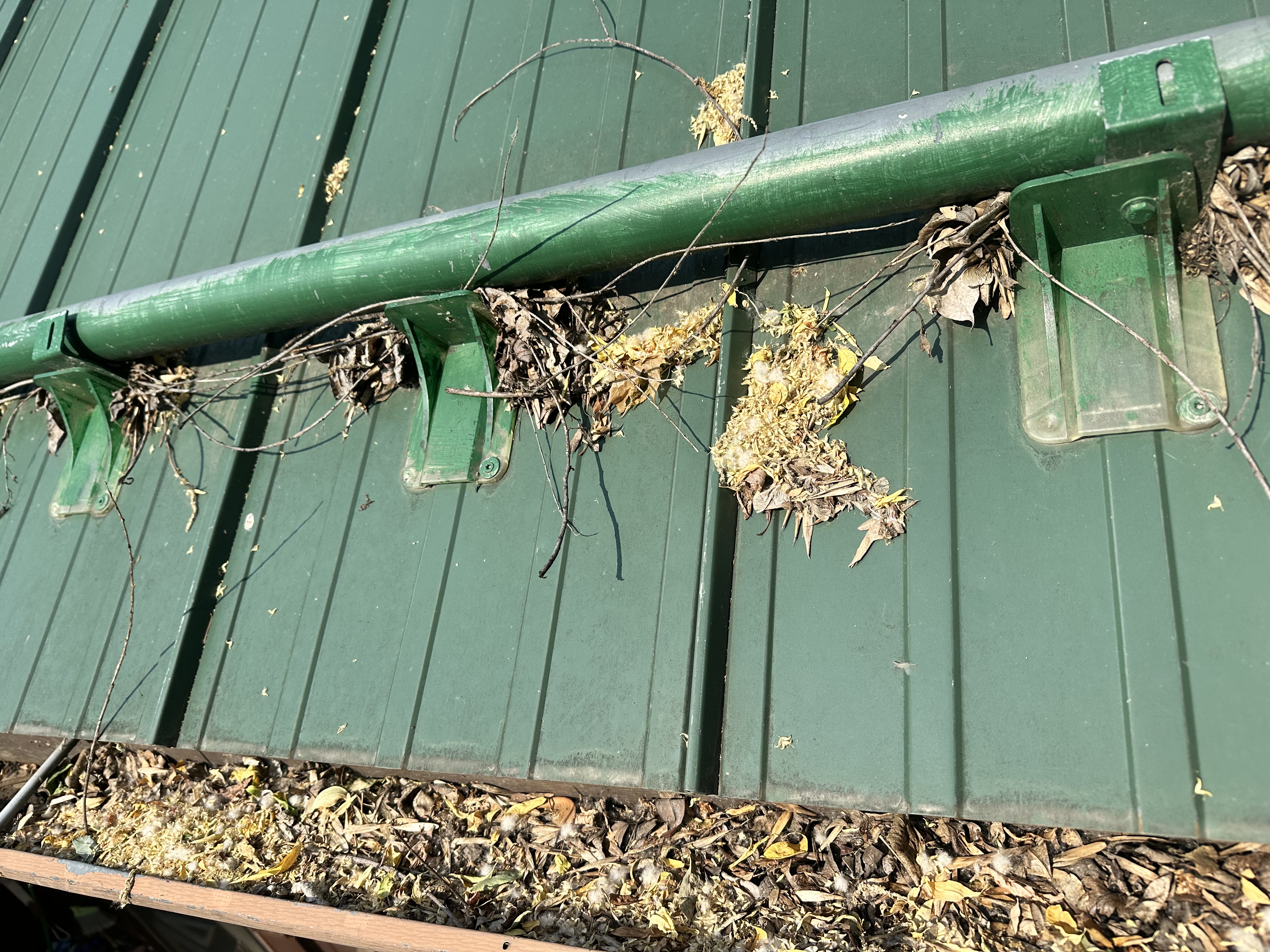 Before: Clogged gutter full of debris on the roof