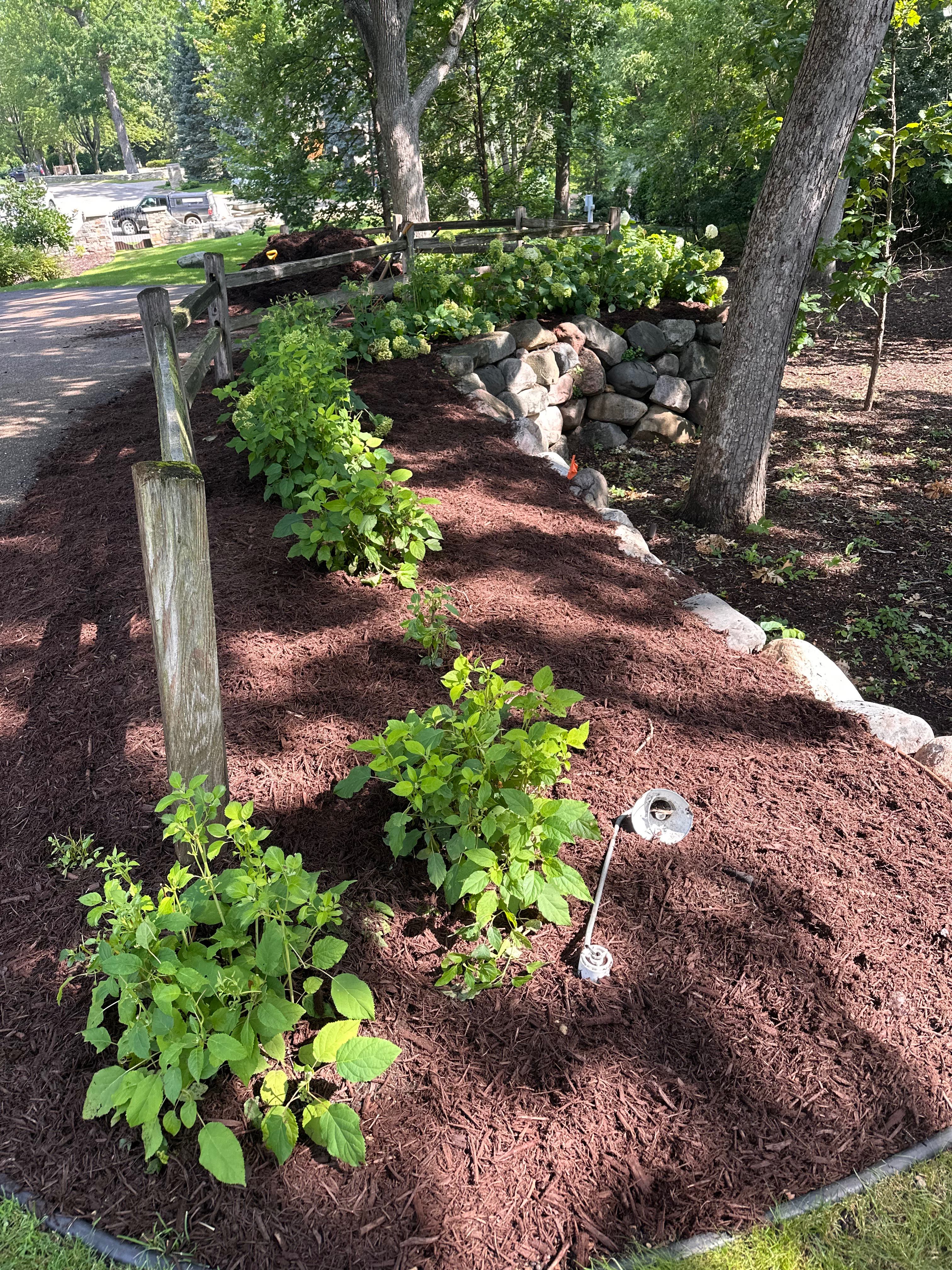 A beautiful mulched garden path